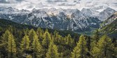 Fotobehang - Wild Dolomites 200x100cm - Vliesbehang