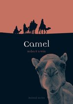 Animal - Camel