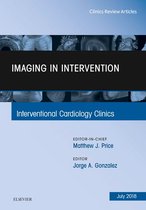 The Clinics: Internal Medicine Volume 7-3 - Imaging in Intervention, An Issue of Interventional Cardiology Clinics