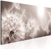 Artgeist Summer Dandelions Canvas Schilderij - 135x45cm