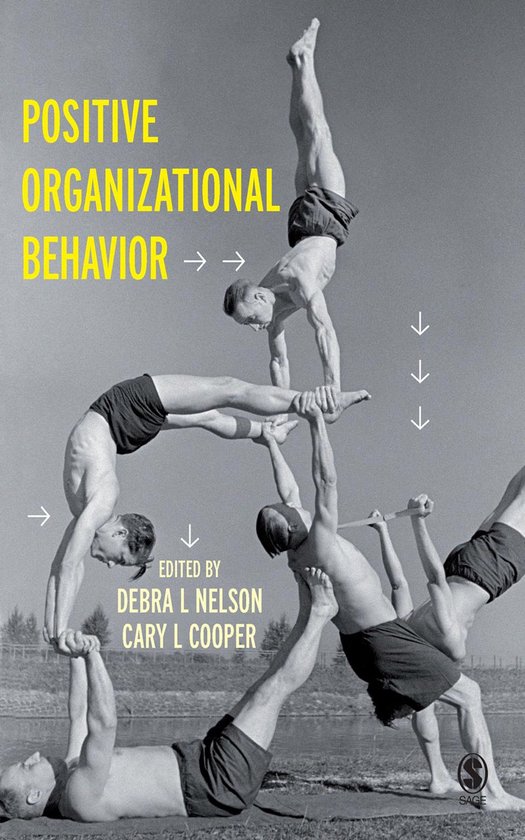 Positive Organizational Behavior - cover