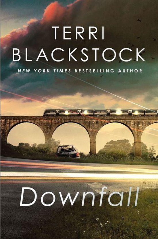 An Intervention Novel 3 - Downfall - cover