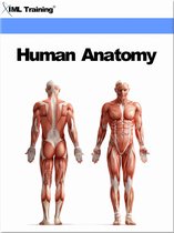 Human Body - Human Anatomy (Human Body)
