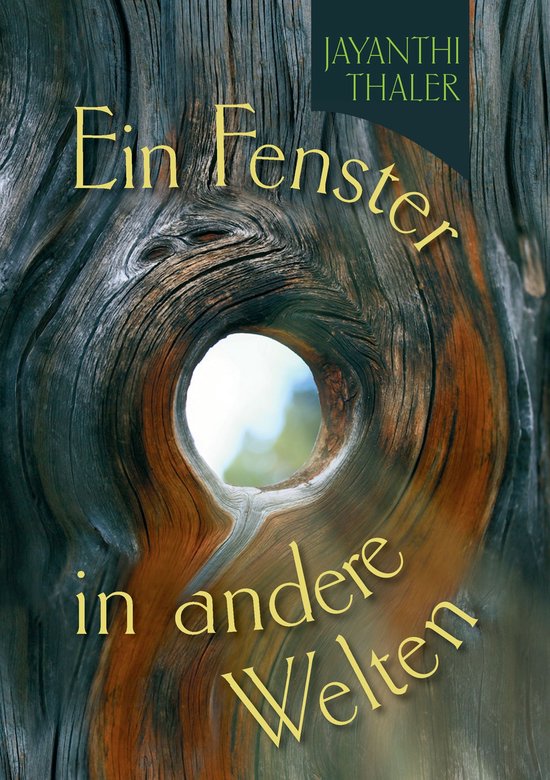 Ein Fenster in andere Welten - cover