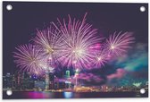 Tuinposter – Vuurwerk boven de Stad  - 60x40cm Foto op Tuinposter  (wanddecoratie voor buiten en binnen)