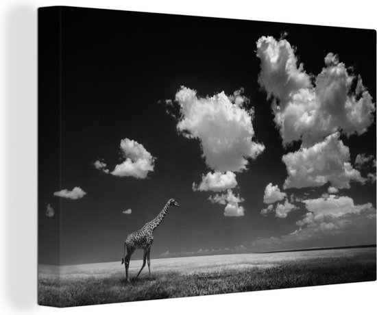 Canvas Schilderij Giraffe loopt door veld in zwart wit - 60x40 cm - Wanddecoratie
