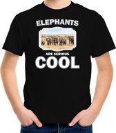 Dieren kudde olifanten t-shirt zwart kinderen - elephants are serious cool shirt - cadeau shirt olifant/ olifanten liefhebber M (134-140)