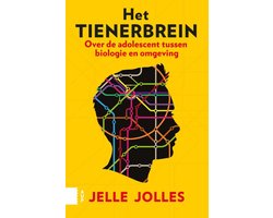 Het tienerbrein
