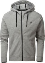 Dare2B Modulus hoodie met rits over de volle lengte voor heren, lichtgrijs