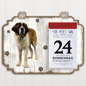 Scheurkalender 2023 Hond: Sint Bernard