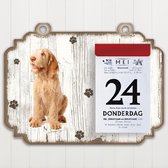 Scheurkalender 2023 Hond: Spinone Italiano