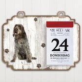 Scheurkalender 2023 Hond: Korthals Griffon