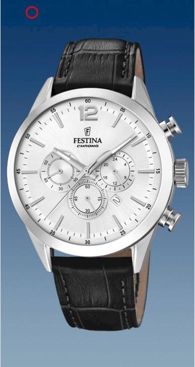 Festina Herenhorloge F20542-1