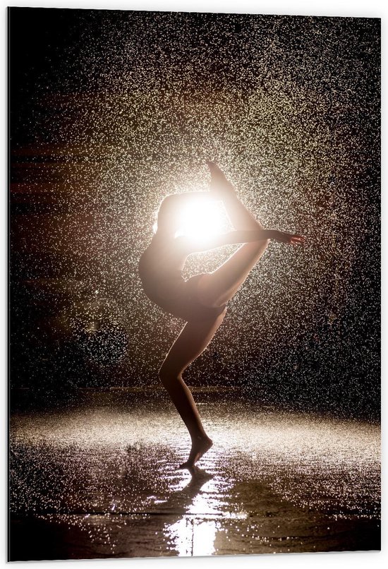 Dibond - Ballet Meisje in de Regen - 60x90cm Foto op Aluminium (Wanddecoratie van metaal)