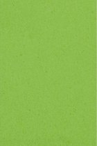 Amscan - Tafelkleed - Lime (137 cm x 274 cm)