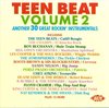 Teen Beat Vol. 2