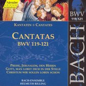 Cantatas BWV119-121