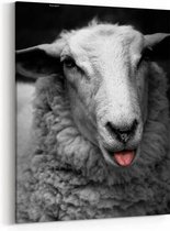 Schilderij - Portrait of a sheep looking at camera — 60x90 cm