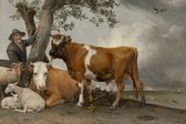 De Stier op Canvas - WallCatcher | Liggend 90 x 60 cm | Paulus Potter