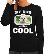 Maltezer honden trui / sweater my dog is serious cool zwart - dames - Maltezers liefhebber cadeau sweaters XS