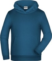 James And Nicholson Kinderen/Kinderen Basic Hoodie (Benzine)