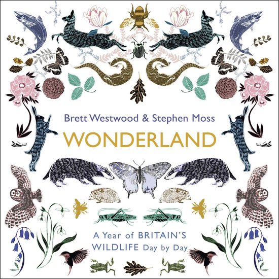 Wonderland - cover