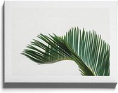 Walljar - Palm Leaves - Muurdecoratie - Poster