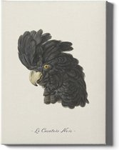 Walljar - Le Cacatoès Noir - Muurdecoratie - Canvas schilderij