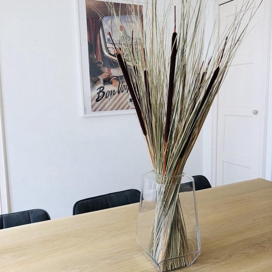 Konijnenstaartgras (Lagurus) Gedroogde Olijf 60cm 50g - Decoratie, Boho Konijnenstaartgras (Lagurus) Gedroogde Olijf 60cm 50g - Decoratie, Boho