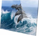 Dolfijnen springend | 90 x 60 CM | Wanddecoratie | Dieren op plexiglas | Schilderij | Plexiglas | Schilderij op plexiglas