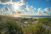 Fotobehang Bankje in de duinen Vlieland 350 x 260 cm - € 235,--