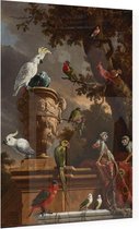 De menagerie, Melchior de Hondecoeter - Foto op Plexiglas - 30 x 40 cm