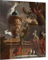 De menagerie, Melchior de Hondecoeter - Foto op Plexiglas - 80 x 80 cm