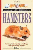 Hamsters Omgaan Met Huisdieren