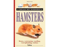 Hamsters Omgaan Met Huisdieren