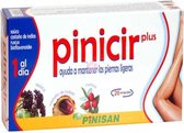 Pinisan Pinicir Plus 15 Viales