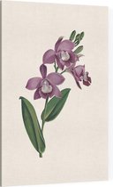 Orchidee Aquarel 1 (Orchid) - Foto op Canvas - 60 x 90 cm