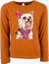 Stones And Bones Meisjes Tshirt Amber Dog - 104