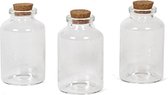 60x Kleine transparante glazen flesjes met kurken dop 30 ml - traktatie uitdeelflesjes - set mini glazen flesjes met kurk