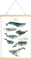 JUNIQE - Posterhanger Walvissen illustratie -20x30 /Blauw & Ivoor