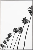 JUNIQE - Poster met kunststof lijst Cali Palms -60x90 /Grijs & Wit