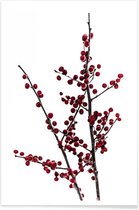 JUNIQE - Poster Red Berries 2 -20x30 /Rood & Wit