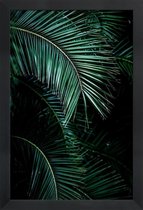 JUNIQE - Poster in houten lijst Palmbladeren -40x60 /Groen & Zwart