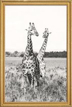 JUNIQE - Poster met houten lijst Giraffenpaar -13x18 /Grijs & Wit