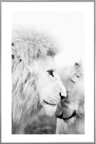 JUNIQE - Poster met kunststof lijst A Softer Side -20x30 /Grijs & Wit