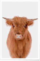 JUNIQE - Poster Young Highland Cow -40x60 /Bruin