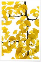 JUNIQE - Poster Ginkgo -60x90 /Bruin & Geel