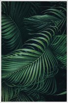 JUNIQE - Poster in kunststof lijst Gevederde Palm -40x60 /Groen
