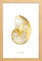 JUNIQE - Poster met houten lijst Nautilus Shell gouden -20x30 /Goud &