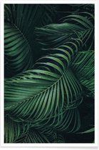 JUNIQE - Poster Gevederde Palm -30x45 /Groen